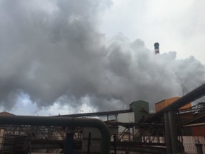 Ilva Taranto M5S Taranto