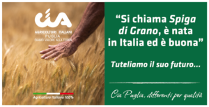 Grano Puglia - Cia