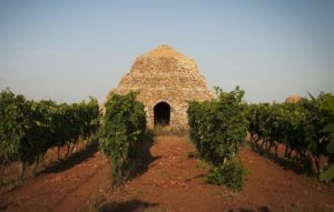 Primitivo Vinitaly