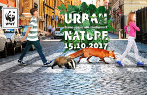 Urban Nature Mottola Martina