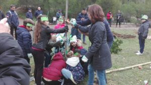 festa albero taranto