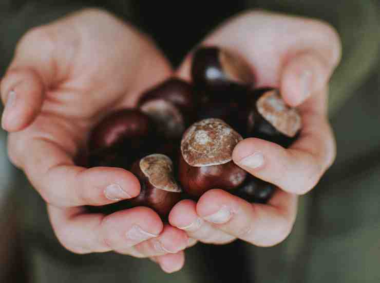 Con le castagne hai sempre sbagliato - Inchiostroverde.it (Fonte foto Pexels)