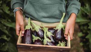 Melanzane avanzate cosa fare - Inchiostroverde.it (Fonte foto Pexels)