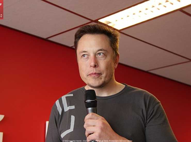 Musk